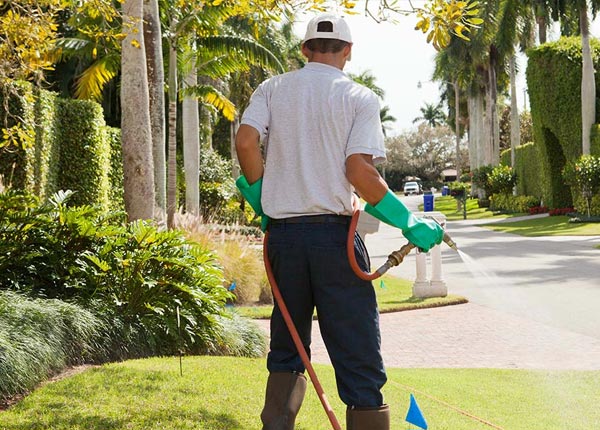 About Powers OR Pest Control Pros